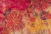 #3 Blooming-Bedlam closeup 300DPI-25
