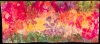 #3 Blooming-Bedlam full 300DPI-24
