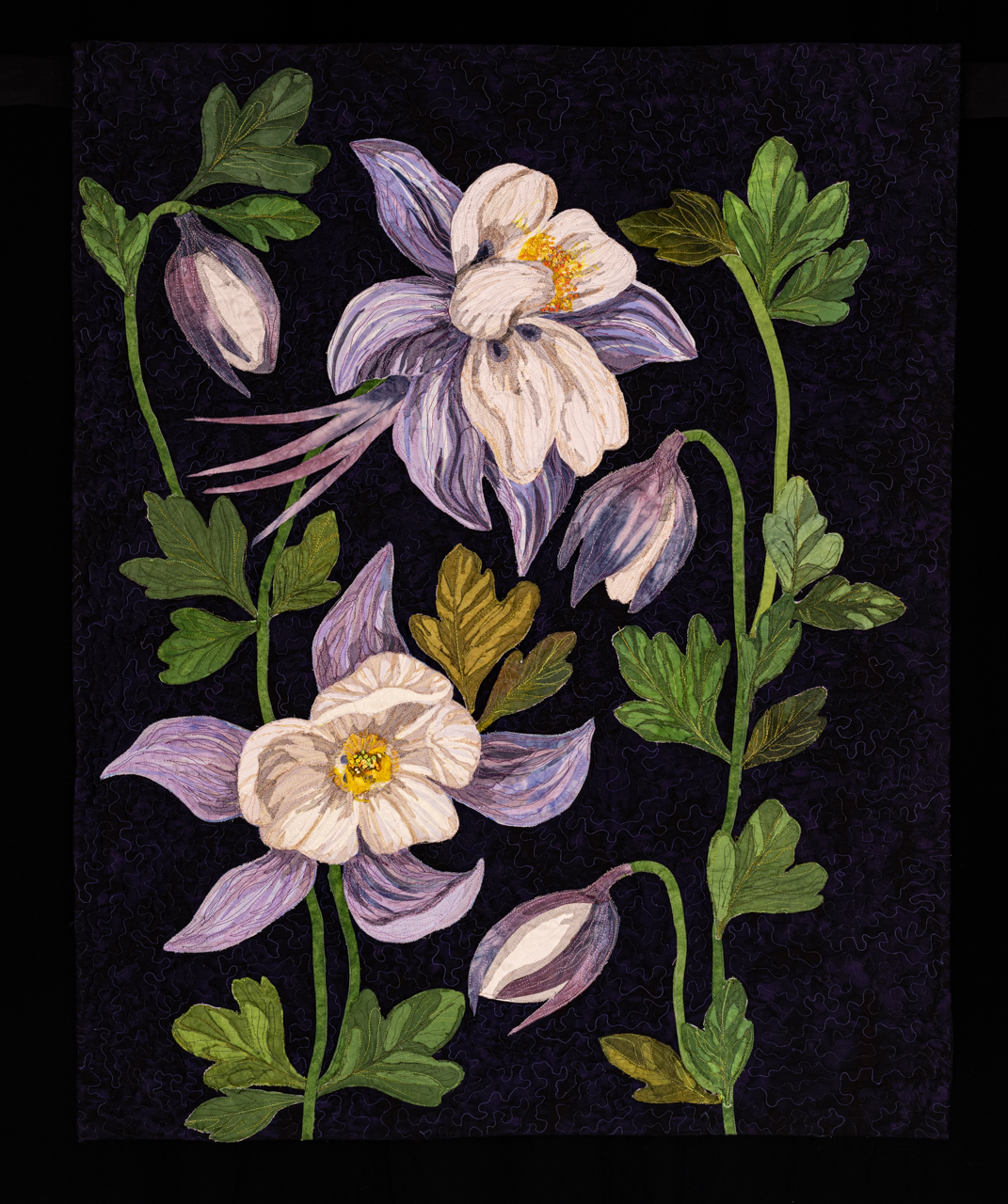 Colorado-5-Schupp-_Colorado-State-Flower