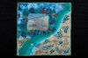 8-sea-turtle-by-elizabeth-bottorff-curavaceous