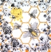 bees-knees-1-colony-collapse