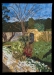 Terry Lee-Secret Garden, Juror Pick # 5