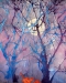 #15 Malvern-Forest Horizons Closeup