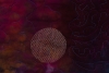 #22 Schupp-Outer Space closeup 300