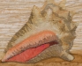 #23 Schupp-Message in a Bottle closeup 300