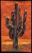 21-Sant-Desert-Magic-Full-300ppi
