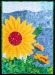 22-Wolfe-Fantasy-Flowers-Full-300ppi
