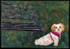 3-Weimer-Cassies-Quilt-Full-300ppi