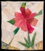 6-Stenger-Pretty-in-Pink-Full-300ppi