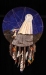 14-VanVoorhees-Moonlight-Dreams-Full-72ppi