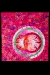 janwarren-girls-you-must-learn-to-count-dead-bodies-abstractions
