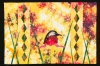 illumination-jean-roesler-got-it-full
