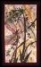 Braunagel-_The-Fall-Garden