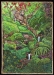 Lynda-Stahl-Emerald-Sanctuary