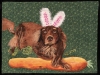 Sherida-Warner-Somebunnys-Easter-Disguise-Unearths-Garden-Surprise