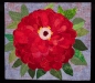 Wolfe-Red-Zinnia