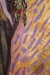 IBMasters, Day of the Falling Purple Leaves, Susan Strickland, Closeup, Juror's Pick #2