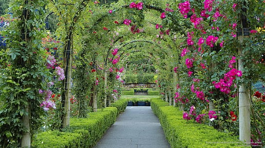 Secret Garden Theme for 2026