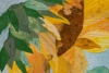 #13 Stenger-Sunflower closeup 300